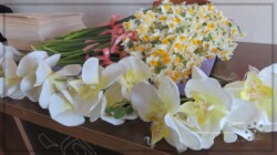 جشن میلاد حضرت زهرا و روز زن جشن میلاد حضرت زهرا و روز زن