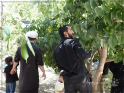 اردوی تفریحی خانوادگی روستای خاوه اردوی تفریحی خانوادگی روستای خاوه