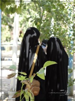 اردوی تفریحی خانوادگی روستای خاوه اردوی تفریحی خانوادگی روستای خاوه